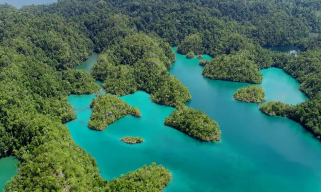 Pulau Tawale sebagai destinasi snorkeling dan selam
