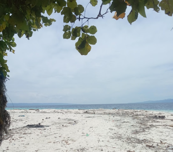 Wisata Alam