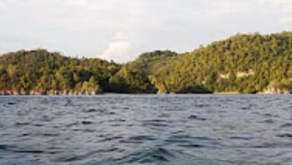 Pulau Kelelawar