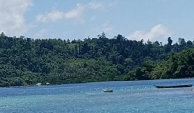 Pulau Waindi