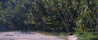 Sungai Wooi